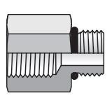 Pipe Adapter - SAE-ORB to BSPP - Straight